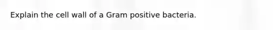 Explain the cell wall of a Gram positive bacteria.
