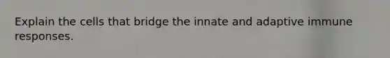 Explain the cells that bridge the innate and adaptive immune responses.
