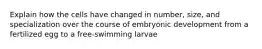 Explain how the cells have changed in number, size, and specialization over the course of embryonic development from a fertilized egg to a free-swimming larvae