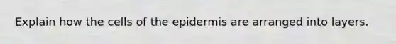 Explain how the cells of the epidermis are arranged into layers.