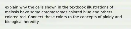 explain why the cells shown in the textbook illustrations of meiosis have some chromosomes colored blue and others colored red. Connect these colors to the concepts of ploidy and biological heredity.