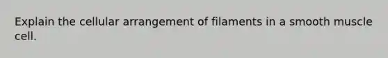 Explain the cellular arrangement of filaments in a smooth muscle cell.