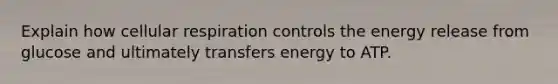 Explain how cellular respiration controls the energy release from glucose and ultimately transfers energy to ATP.