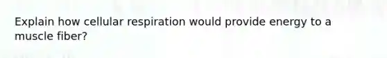 Explain how cellular respiration would provide energy to a muscle fiber?