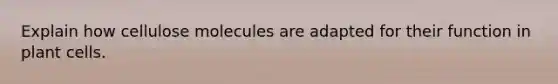 Explain how cellulose molecules are adapted for their function in plant cells.