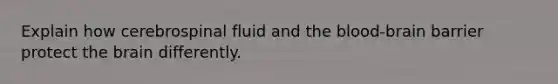 Explain how cerebrospinal fluid and the blood-brain barrier protect the brain differently.