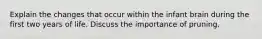 Explain the changes that occur within the infant brain during the first two years of life. Discuss the importance of pruning.