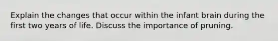 Explain the changes that occur within the infant brain during the first two years of life. Discuss the importance of pruning.