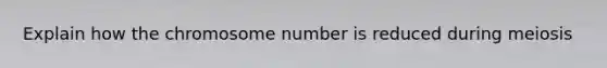 Explain how the chromosome number is reduced during meiosis