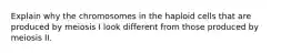 Explain why the chromosomes in the haploid cells that are produced by meiosis I look different from those produced by meiosis II.