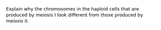 Explain why the chromosomes in the haploid cells that are produced by meiosis I look different from those produced by meiosis II.