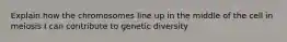 Explain how the chromosomes line up in the middle of the cell in meiosis I can contribute to genetic diversity