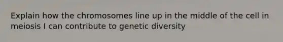 Explain how the chromosomes line up in the middle of the cell in meiosis I can contribute to genetic diversity