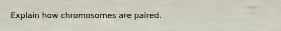 Explain how chromosomes are paired.