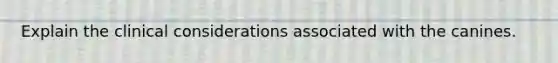 Explain the clinical considerations associated with the canines.