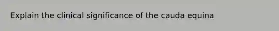 Explain the clinical significance of the cauda equina