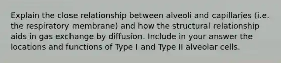 Explain the close relationship between alveoli and capillaries (i.e. the respiratory membrane) and how the structural relationship aids in <a href='https://www.questionai.com/knowledge/kU8LNOksTA-gas-exchange' class='anchor-knowledge'>gas exchange</a> by diffusion. Include in your answer the locations and functions of Type I and Type II alveolar cells.