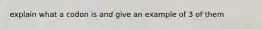 explain what a codon is and give an example of 3 of them