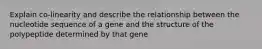 Explain co-linearity and describe the relationship between the nucleotide sequence of a gene and the structure of the polypeptide determined by that gene