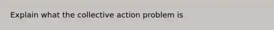 Explain what the collective action problem is