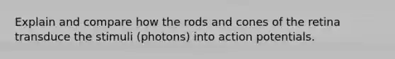 Explain and compare how the rods and cones of the retina transduce the stimuli (photons) into action potentials.