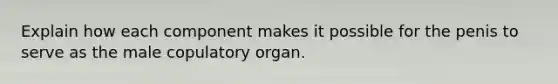 Explain how each component makes it possible for the penis to serve as the male copulatory organ.