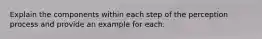 Explain the components within each step of the perception process and provide an example for each.