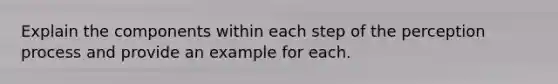 Explain the components within each step of the perception process and provide an example for each.