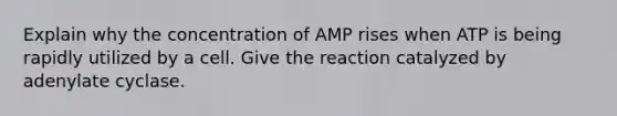 Explain why the concentration of AMP rises when ATP is being rapidly utilized by a cell. Give the reaction catalyzed by adenylate cyclase.