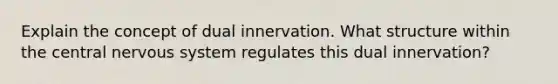 Explain the concept of dual innervation. What structure within the central nervous system regulates this dual innervation?