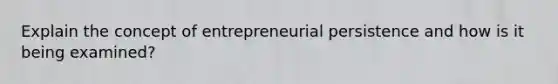 Explain the concept of entrepreneurial persistence and how is it being examined?