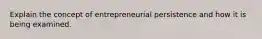 Explain the concept of entrepreneurial persistence and how it is being examined.