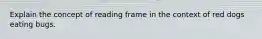 Explain the concept of reading frame in the context of red dogs eating bugs.