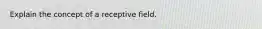 Explain the concept of a receptive field.