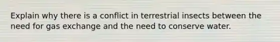 Explain why there is a conflict in terrestrial insects between the need for gas exchange and the need to conserve water.