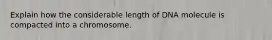 Explain how the considerable length of DNA molecule is compacted into a chromosome.