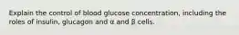 Explain the control of blood glucose concentration, including the roles of insulin, glucagon and α and β cells.