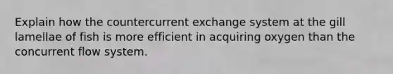 Explain how the countercurrent exchange system at the gill lamellae of fish is more efficient in acquiring oxygen than the concurrent flow system.