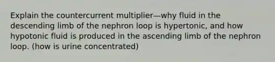 Explain the countercurrent multiplier—why fluid in the descending limb of the nephron loop is hypertonic, and how hypotonic fluid is produced in the ascending limb of the nephron loop. (how is urine concentrated)