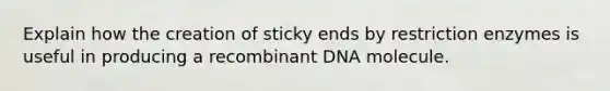 Explain how the creation of sticky ends by restriction enzymes is useful in producing a recombinant DNA molecule.