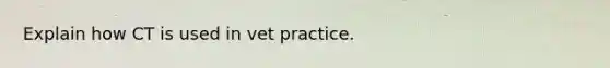 Explain how CT is used in vet practice.