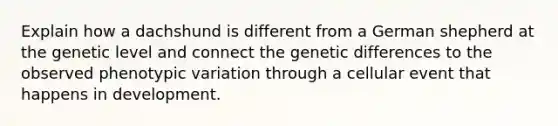 Explain how a dachshund is different from a German shepherd at the genetic level and connect the genetic differences to the observed phenotypic variation through a cellular event that happens in development.