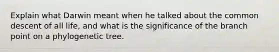 Explain what Darwin meant when he talked about the common descent of all life, and what is the significance of the branch point on a phylogenetic tree.