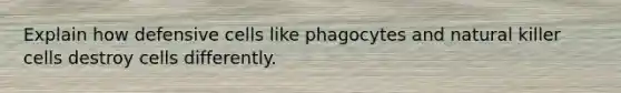 Explain how defensive cells like phagocytes and natural killer cells destroy cells differently.