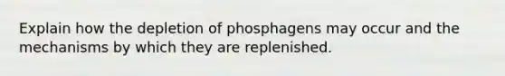 Explain how the depletion of phosphagens may occur and the mechanisms by which they are replenished.