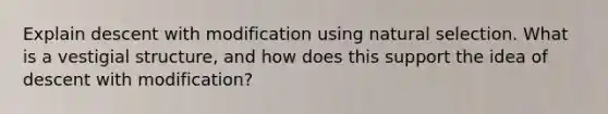 Explain descent with modification using natural selection. What is a vestigial structure, and how does this support the idea of descent with modification?