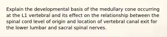 Explain the developmental basis of the medullary cone occurring at the L1 vertebral and its effect on the relationship between the spinal cord level of origin and location of vertebral canal exit for the lower lumbar and sacral spinal nerves.