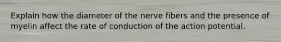 Explain how the diameter of the nerve fibers and the presence of myelin affect the rate of conduction of the action potential.