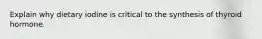 Explain why dietary iodine is critical to the synthesis of thyroid hormone.