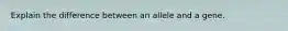 Explain the difference between an allele and a gene.